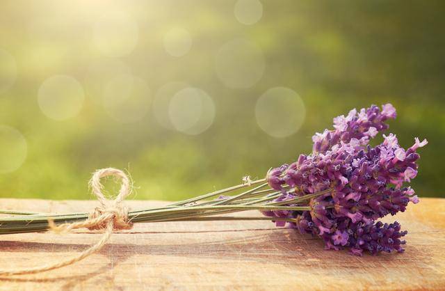 平常心的句子简短 338d99c7c289457ea4ed00947dd83569.jpeg