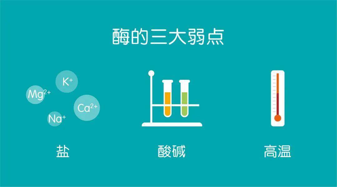 你吃菠萝的时候，菠萝也在吃你