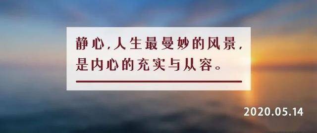 纵观身边那些活得风生水起的人,无不将人生调成了静音模式,他们早就