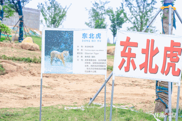 市区出发6公里,占地80万㎡野生动物园,据说十月一就能