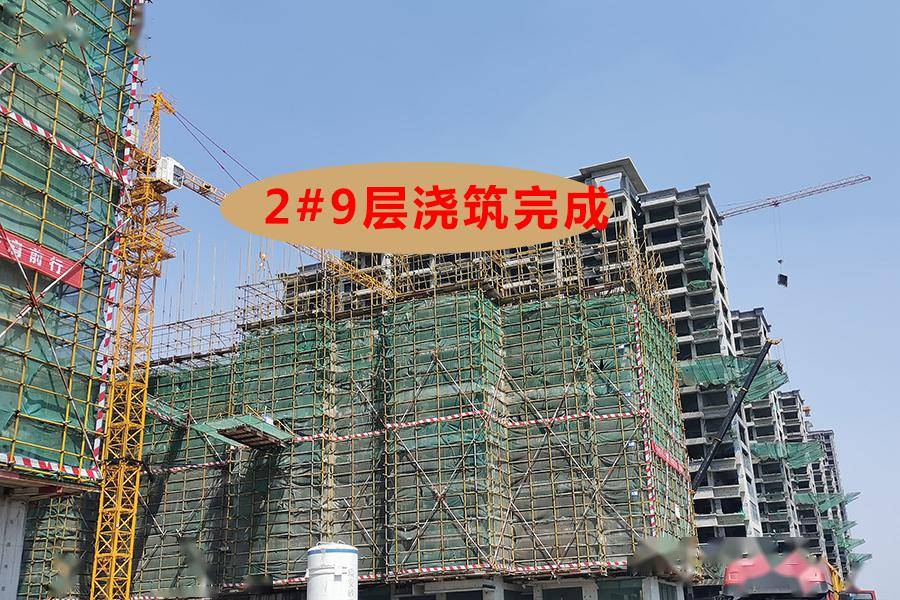 【橄榄绿洲·和雅】五月工程进度播报