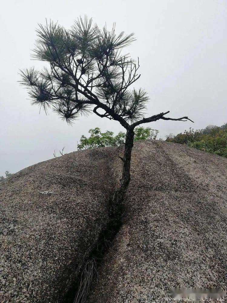 云雾灵山更妖娆_白雾