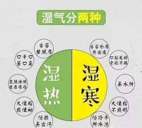 体内湿气重百病生3个方法除湿气一身轻松