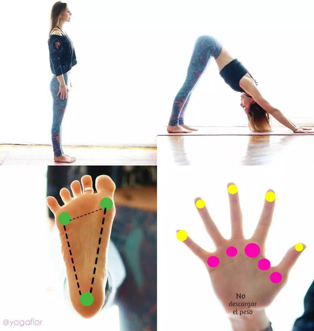 练瑜伽，“看不见的力”才是关键！（附13个瑜伽体式发力详解）_搜狐网, image size:1080x1137