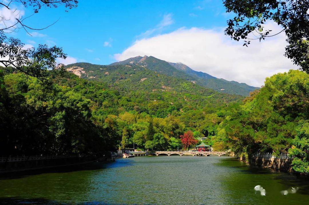 分不清哪里是树哪里是水,一池湖水随风荡漾泛起一阵碧绿,人间仙境沐仙