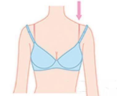 乳房下垂内衣_宫颈下垂图片