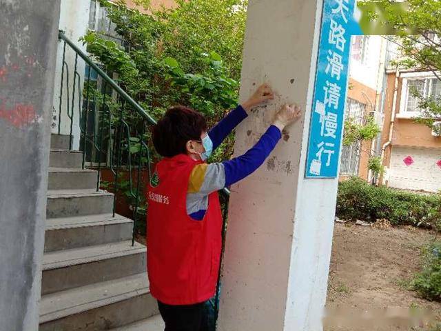 莱西流动人口_莱西拉姆(3)