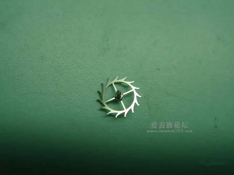 ����һֻ���޵Ļ���С���뷵ת