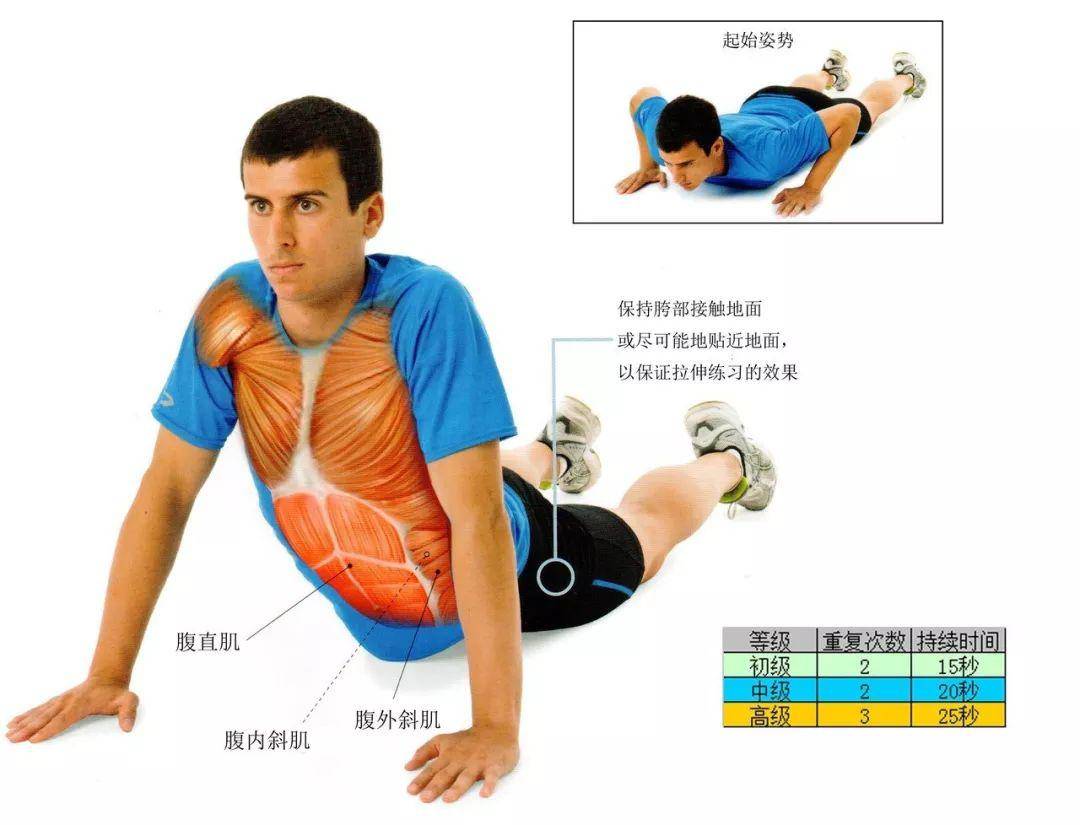 严素干货| 跑后静态拉伸怎么做?