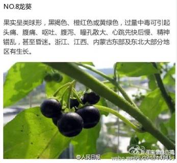 #孩子#一人陷入昏迷！原因让人后怕警惕！4个男孩路边呕吐