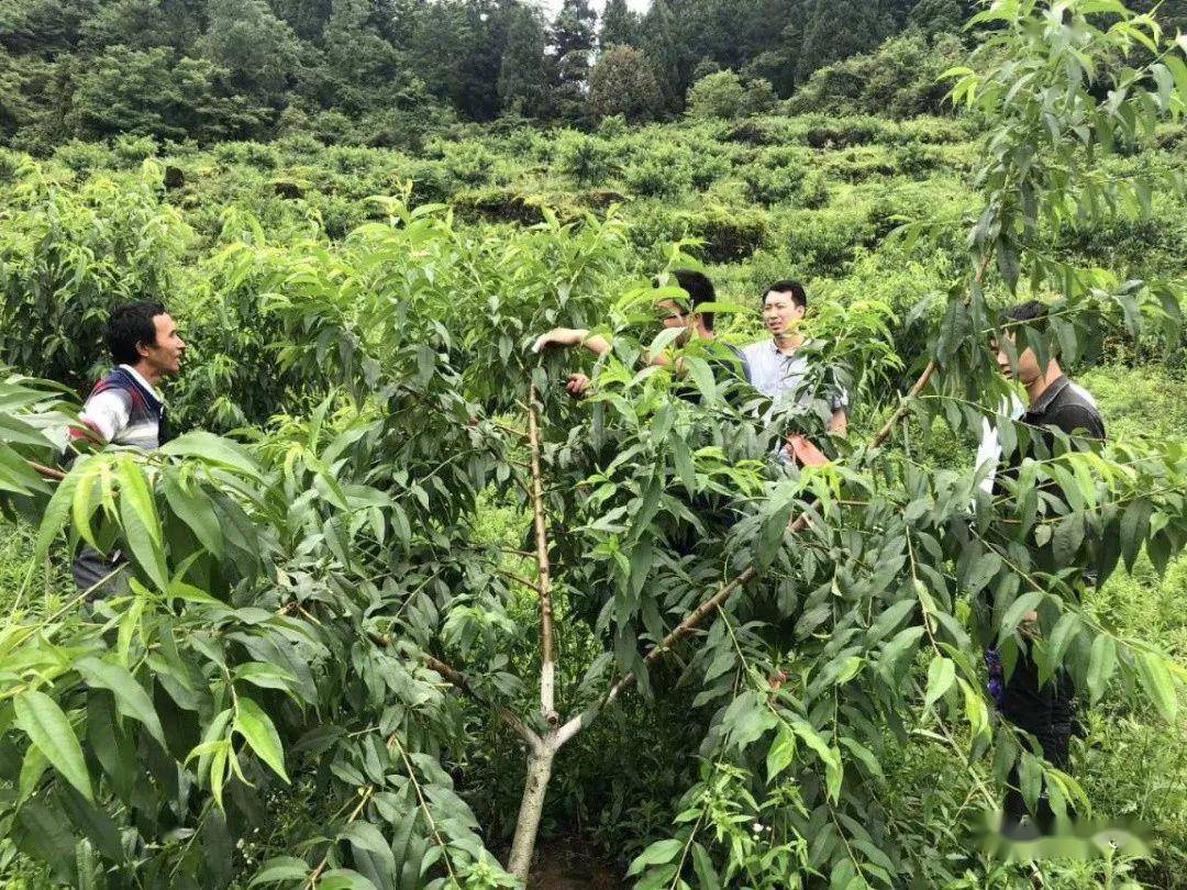 王姓人口现状_王姓微信头像