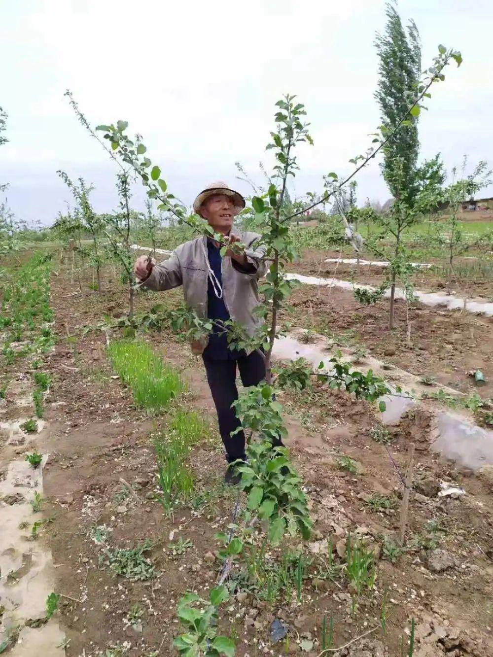 白草镇人口_赤城县白草镇老照片