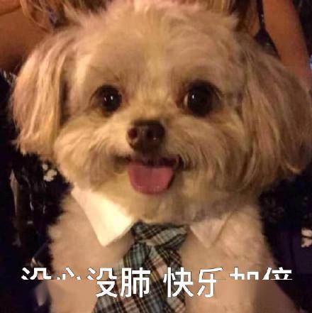 ff8c1547bfe048688a421fce8b417af0.jpeg