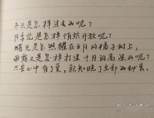 叫我如何不想他简谱_叫我如何不想她简谱(3)