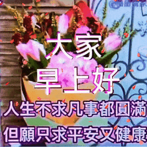 5月最新群发早上好问候语表情包动态图片鲜花带字,清早早上好问候语