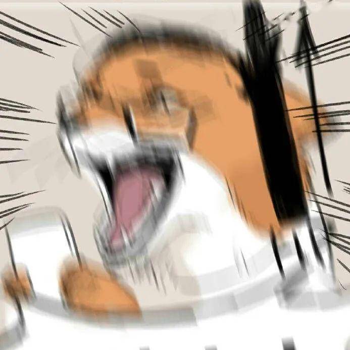 6a6304ec6c4f4a1a94193dfffc4f29c2.jpeg