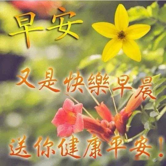 82ea2043ed9b46bda3c51e8cb832582f.jpeg