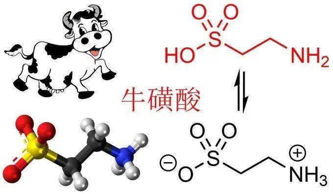 红牛饮料中的成分牛磺酸