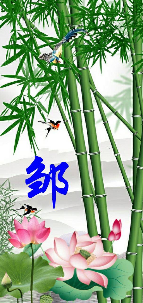 常用姓氏全面屏壁纸,多种款式,特别精美