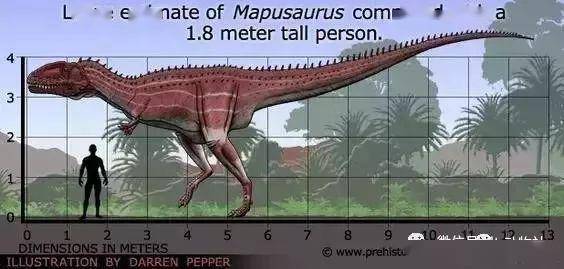 马普龙,又称为地龙,生存于晚白垩纪的阿根廷.