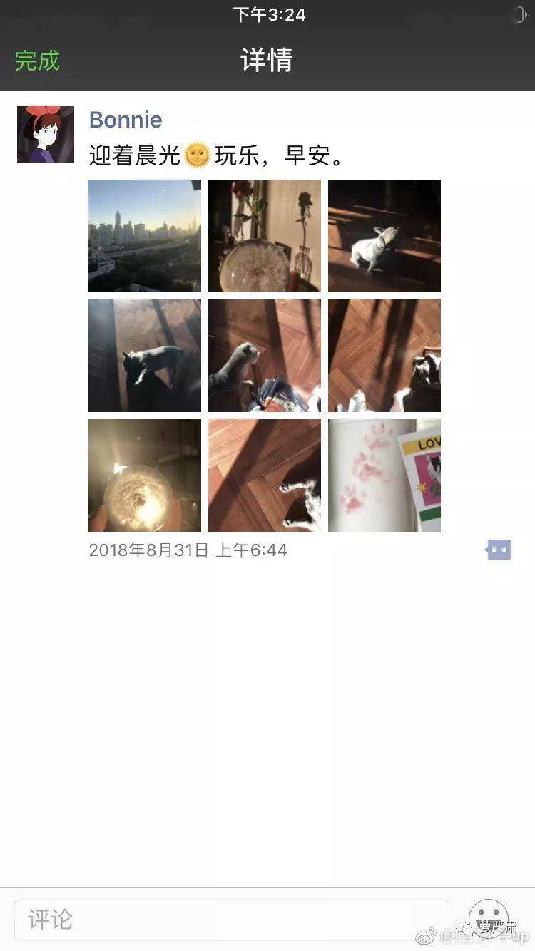 28dc1d90de03403cb8e953d1ffccb2b7.jpeg