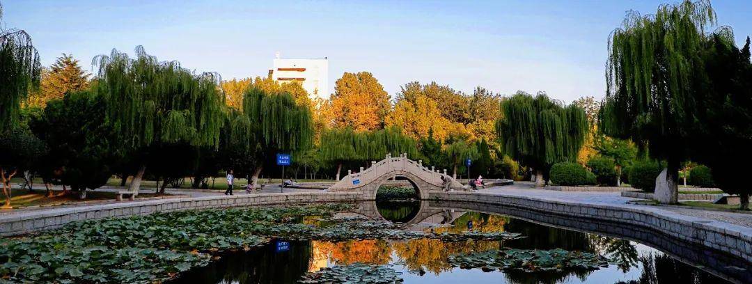 2020鲁东大学考研成_烟台鲁东大学2020届毕业生考研再创佳绩