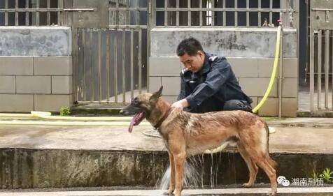 警犬搜尸!深埋地下7米,17年前尸骨重见天日