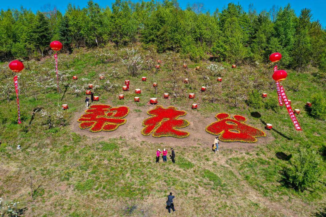 【寻梦梨花谷·醉享鹤岗蓝】线上摄影作品展播(六)