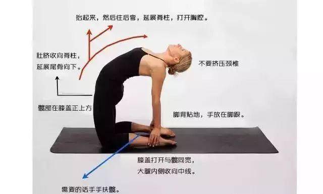 注意:保持过程中,髋部和膝盖在一条直线上垂直于垫面,尾骨内收给下