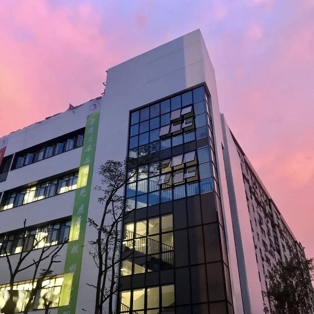 学生幼儿分期分批返校深圳市第一所艺术高中亮相9月面向全市招生400人