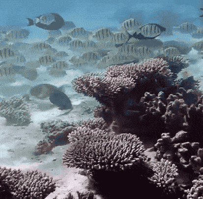 413_406gif 动态图 动图