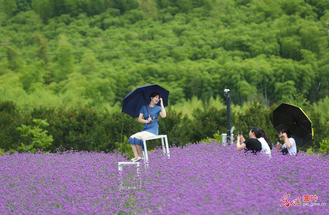 浙江2020年5月gdp_2020浙江美术二模题