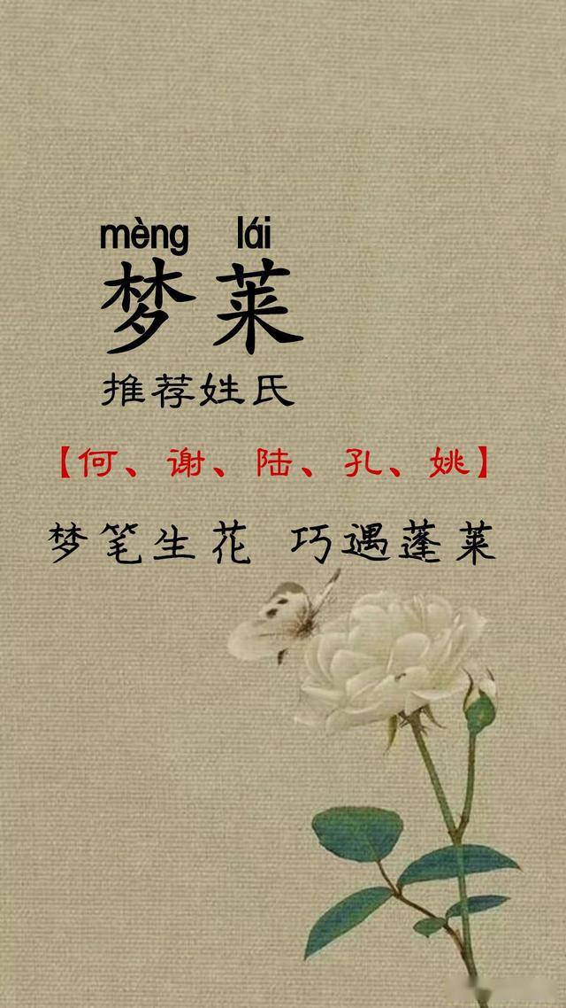 孟孔姓氏人口_孟字姓氏微信头像大全(3)
