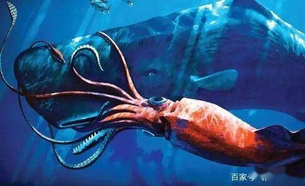 十大海洋最强生物,现代海洋霸主排名都在这里 动物事儿2020.5.21 3856