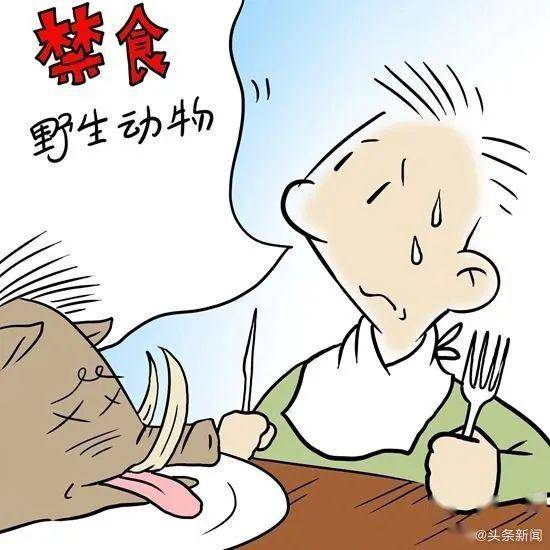 武汉市全面克制食用野生动物