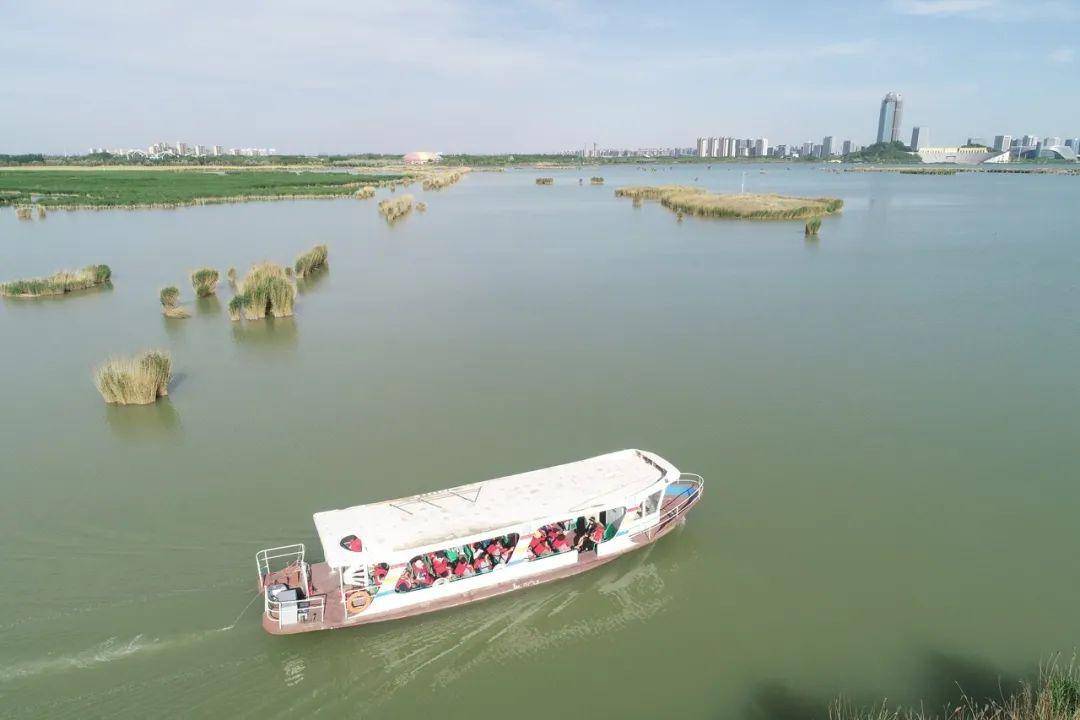 惊艳银川阅海滑草场亲子乐园6月1日开园快来领票啦