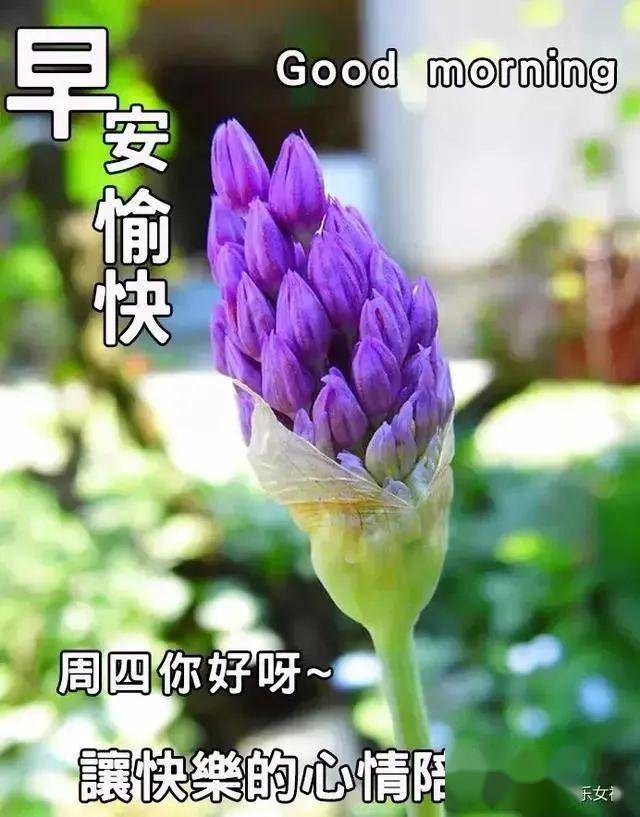 5月21日周四群发早上好问候祝福动态表情图片 5月最美