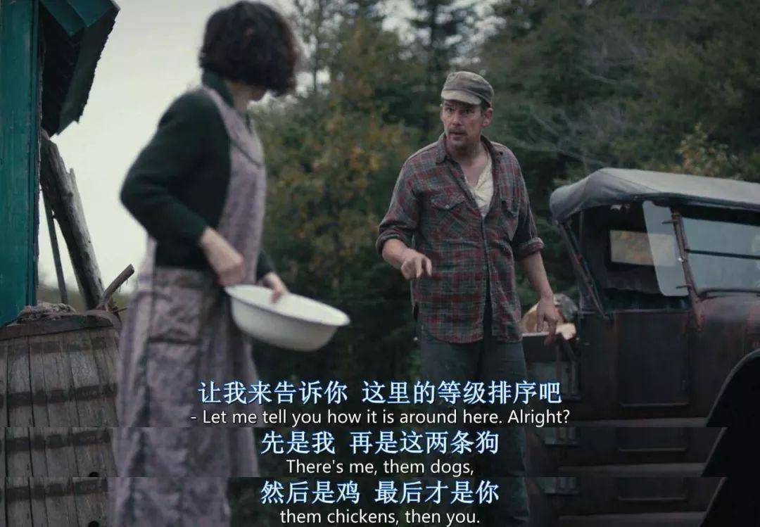 绾㈣敺钖囨儏娣辨偁鎮犳_大龟甲师孙绾绾的图片