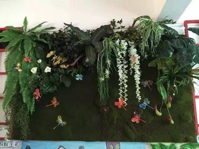 「植物」让种植成为孩子探索自然的起点！【植物角】60种植物角新玩法
