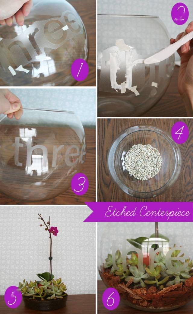 「植物」让种植成为孩子探索自然的起点！【植物角】60种植物角新玩法