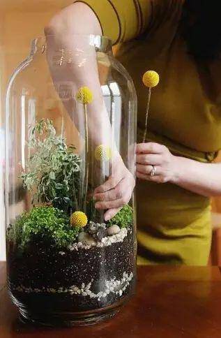 「植物」让种植成为孩子探索自然的起点！【植物角】60种植物角新玩法