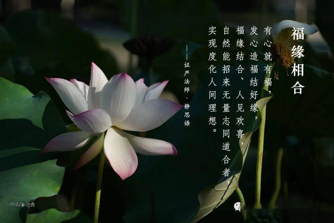 静思语 | 福缘相合