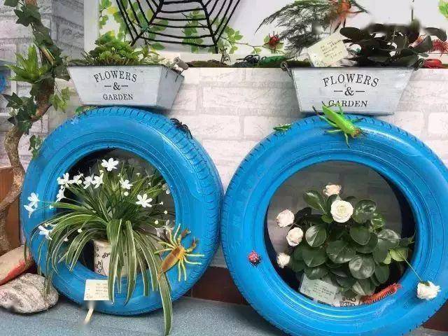 「植物」让种植成为孩子探索自然的起点！【植物角】60种植物角新玩法