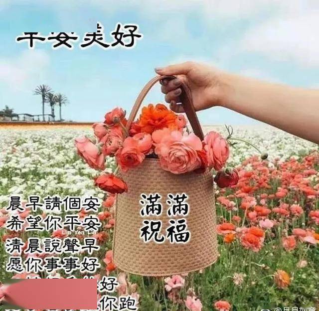 人生不求圆满,但求心安和平安,早安