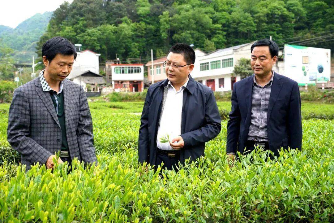 汉滨区贫困户人口名单_汉滨区区长范传斌照片