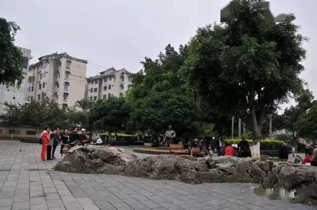 庆远府人口_人口普查(2)