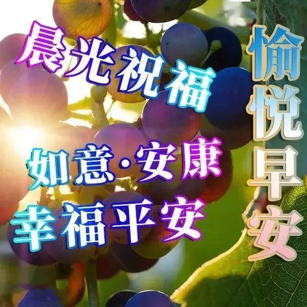 千帆过后,要学会坚强,学会忍耐,学会从容,早安