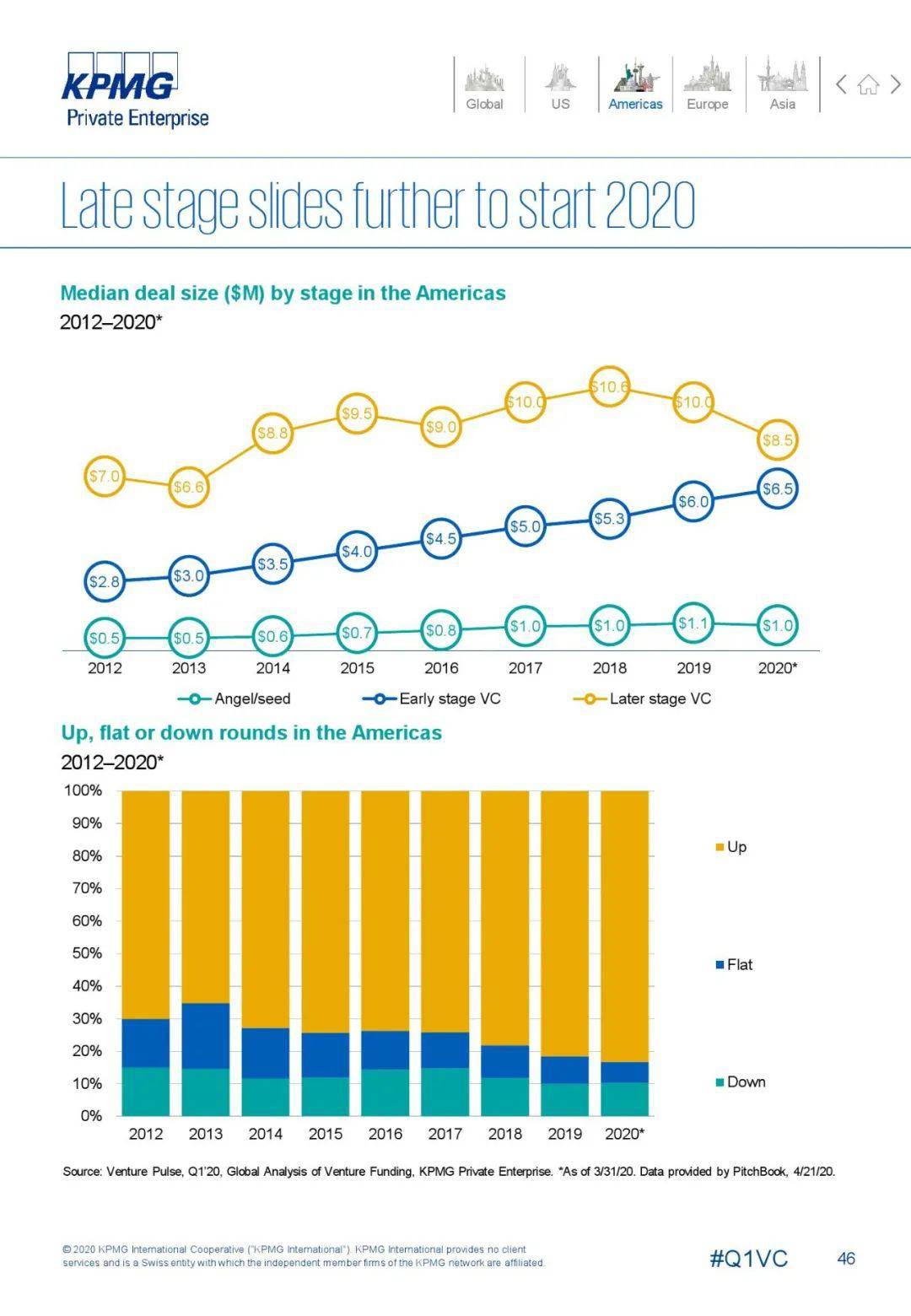 2020英国国第一季度g_英国短毛猫