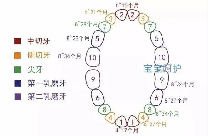 【家长】发育得相当好！中了的家长偷着乐吧达到这个标准的宝宝