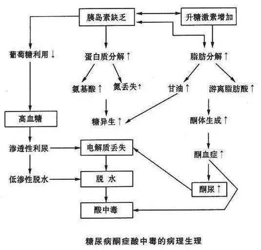 fe52405e9fc54035b60a81710efd1229.jpeg